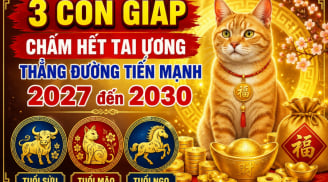 3 con giáp chấm hết tai ương thẳng đường tiến mạnh 2027 đến 2030