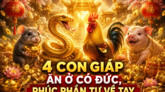 4 con giáp ăn ở Có Đức, phúc phần tự về tay