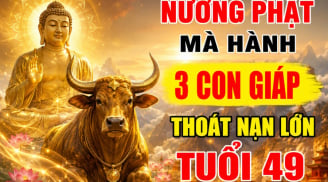 Nương Phật mà hành, 3 con giáp thoát nạn lớn tuổi 49