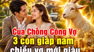 Của Chồng Công Vợ, 3 con giáp nam chiều vợ mới giàu