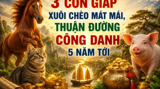 3 con giáp xuôi chèo mát mái, thuận đường công danh 5 năm tới