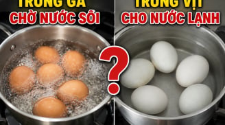 Tại sao luộc trứng vịt cho nước lạnh, luộc trứng gà chờ nước sôi?