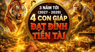 3 năm tới (2027 - 2029), 4 con giáp Đạt Đỉnh Tiền Tài