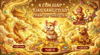 4 con giáp Giàu Sang có số, chẳng lo thiếu Tiền