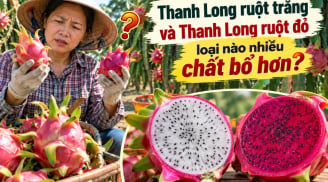 Thanh long ruột trắng và thanh long ruột đỏ loại nào nhiều chất bổ hơn?
