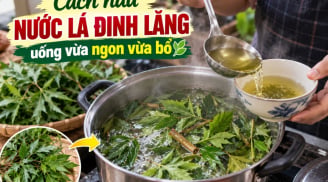 Cách nấu nước lá đinh lăng uống vừa ngon vừa bổ