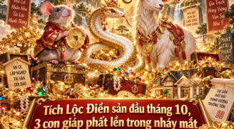 Tích Lộc Điền sản đầu tháng 10, 3 con giáp phất lên trong nháy mắt