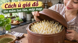 Cách ủ giá đỗ lên mầm tua tủa, mập mạp