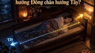 Tại sao nằm ngủ không kê đầu hướng Đông chân hướng Tây?