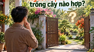 Người mệnh Hoả trồng cây nào hợp?
