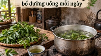 Cách nấu nước lá đinh lăng bổ dưỡng uống mỗi ngày