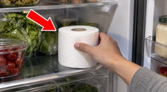 Đêm ngủ đặt cuộn giấy vào tủ lạnh có tác dụng gì?