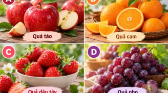 Chọn 1 loại quả mà bạn thích nhất