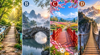 Chọn 1 cây cầu bạn muốn đi qua nhất
