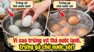 Tại sao luộc trứng vịt thả nước lạnh, luộc trứng gà phải chờ nước sôi?