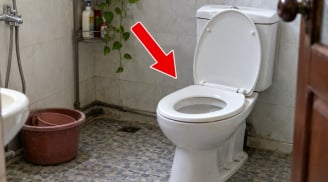 Có nên đậy nắp bồn cầu sau khi đi vệ sinh?