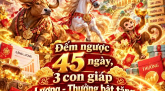 Đếm ngược 45 ngày, 3 con giáp Lương - Thưởng bật tăng