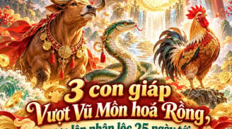 3 con giáp Vượt Vũ Môn hoá Rồng, vươn lên nhận lộc 25 ngày tới