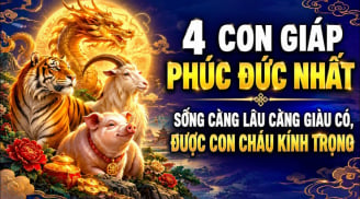 3 con giáp Phúc Đức Nhờ Mẫu, hiếu thảo Lộc càng nhiều