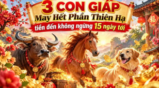 3 con giáp May Hết Phần Thiên Hạ, tiền đến không ngừng 15 ngày tới