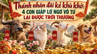 Thánh nhân đãi kẻ khù khờ: 4 con giáp lớ ngớ vô tư lại được trời thương