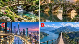 Chọn một cây cầu bạn thích nhất?