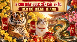 Trước Tết 2027, 3 con giáp được sếp cất nhắc, tiền đồ thênh thang