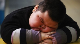 Cuộc sống bình thường của bé 'mập' nổi tiếng Trung Quốc