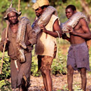 Chuyện về nghề bắt trăn khổng lồ bằng tay không ở Cameroon
