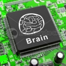 IBM bắt tay sản xuất bộ não nhân tạo