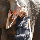 Top Model cưỡi voi hóa thân làm Hai Bà Trưng