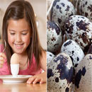 Bé 5 tuổi ăn trứng gà hay trứng cút thì tốt nhất?