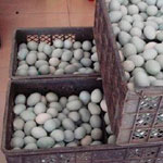Trứng vịt muối Trung Quốc chứa chất gây ung thư