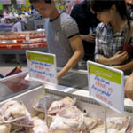 Nhập gà thải Hàn-Mỹ:Chi Cục thú y Hà Nội phân trần