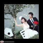 Chụp ảnh cưới ở Mộc Châu-đồng hành cùng Melia wedding days
