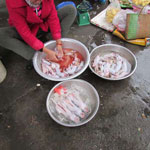 Người Việt hung hăng vì thích ăn thịt chuột