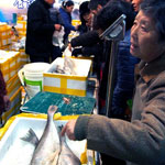 Trung Quốc bán chạy ’cá bắt ở Senkaku/Điếu Ngư’