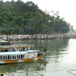 Sông Hương cũng có “rùa thần”