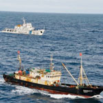 Argentina đối phó tàu cá Trung Quốc
