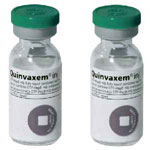 Tạm ngừng sử dụng vắc xin 5 trong 1 Quinvaxem