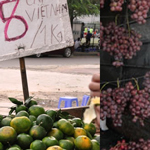 Hoa quả ’made in China’ mượn danh hàng Việt