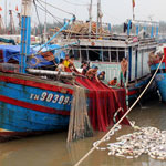 Làm ’chui’ cho tàu cá Trung Quốc