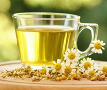 Cùng giảm béo với trà hoa cúc, lá sen