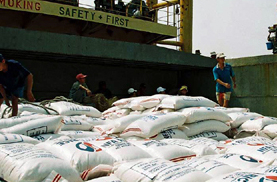 Điều hành xuất khẩu gạo sẽ hết 3kg thóc<1kg ốc bươu?