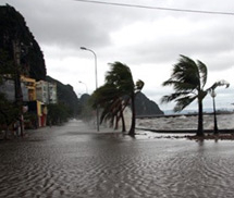 Quảng Ninh bất ngờ hứng bão, thiệt hại nặng nề