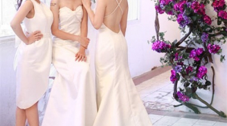 Váy trơn lên ngôi mùa cưới 2014