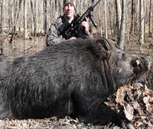 Hạ gục lợn rừng 'khủng' nặng 227 kg