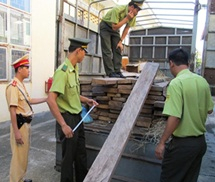 Bắt ôtô tải vận chuyển 71 hộp gỗ lậu ở Quảng Bình