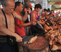 Trung Quốc bí mật tổ chức... lễ hội thịt chó sớm