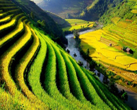 Vì sao Việt Nam lọt top 20 quốc gia đẹp nhất thế giới?
